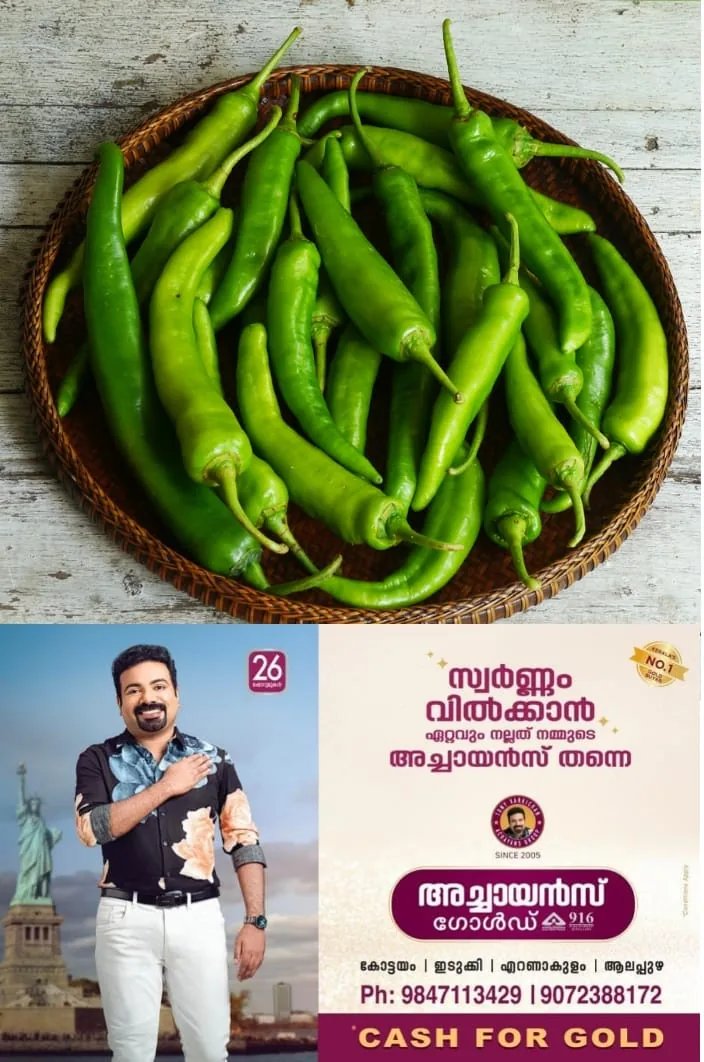 പച്ചമുളക് ആഴ്‌ചകളോളം കേടുകൂടാതെയിരിക്കണോ? കുറച്ച്‌ ടിഷ്യു പേപ്പര്‍ മാത്രം മതി