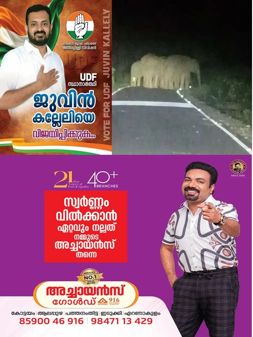 മലക്കപ്പാറയില്‍ സ്ഥാനാര്‍ഥിക്കും രക്ഷയില്ല; തെരഞ്ഞെടുപ്പ് പ്രചാരണത്തിനിടെ സ്ഥാനാർഥിക്ക് നേരെ കാട്ടാന ആക്രമണം;   രക്ഷപ്പെട്ടത് തലനാരിഴയ്ക്ക്…!