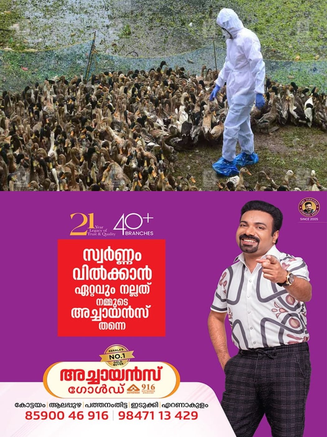 വൈക്കം ഉദയനാപുരത്ത് പക്ഷിപ്പനി സ്ഥിരീകരിച്ചു: പ്രതിരോധത്തിന് നടപടി; ഒരു കിലോമീറ്റർ ചുറ്റളവിലെ കോഴികളെയും വളർത്തുപക്ഷികളെയും അടിയന്തരമായി നശിപ്പിക്കാൻ നിർദ്ദേശം