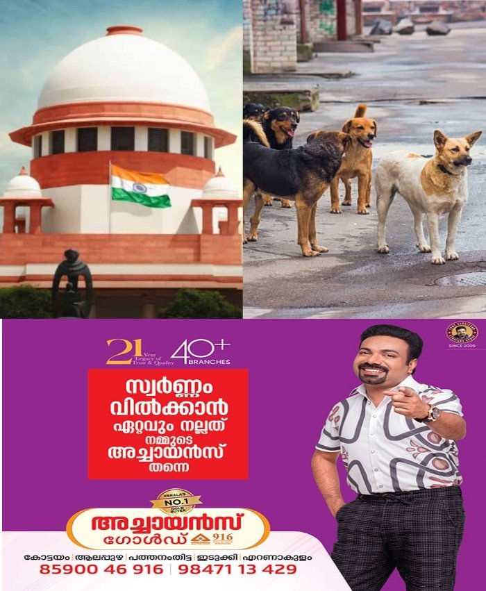 പൊതുവിടങ്ങളില്‍ മൃഗസ്നേഹം വേണ്ട: തെരുവ് നായ്ക്കള്‍ക്ക് ഏര്‍പ്പെടുത്തിയ നിയന്ത്രണങ്ങള്‍ തുടരണം, അപേക്ഷകള്‍ തള്ളി സുപ്രീംകോടതി