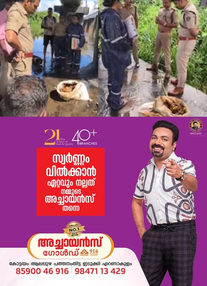 പമ്പയാറ്റിൽ പൂജാ സാധനങ്ങൾക്കൊപ്പം ചാക്കിൽ കെട്ടിയ നിലയിൽ അസ്ഥികൂടം കണ്ടെത്തി