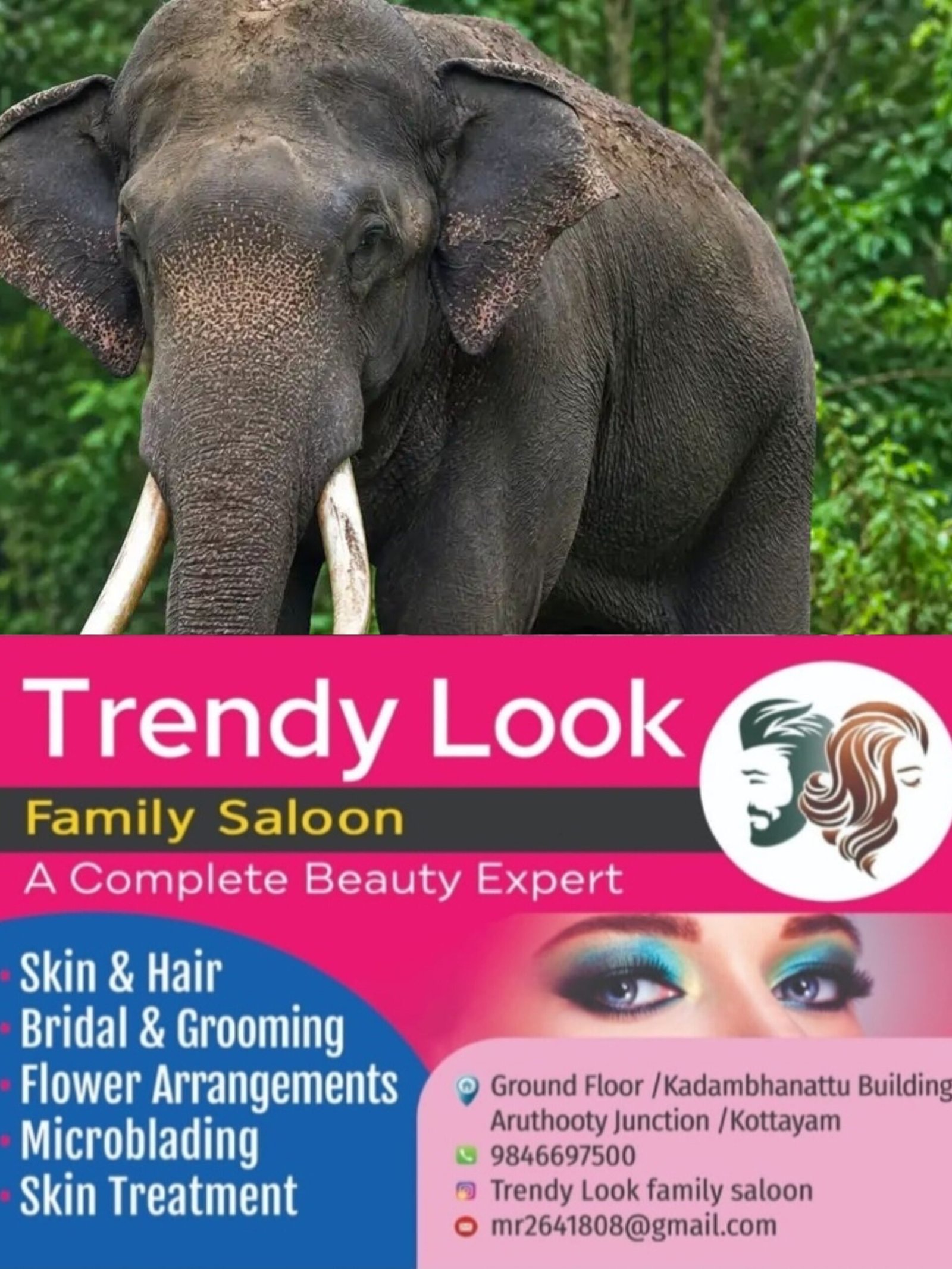 അട്ടപ്പാടിയിൽ രണ്ടിടത്ത് കാട്ടാന ആക്രമണം;പരിക്കേറ്റവരെ അട്ടപ്പാടിയിലെ ട്രൈബല്‍ ആശുപത്രിയില്‍ പ്രവേശിപ്പിച്ചു